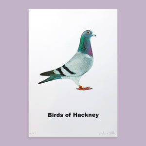 Birds of Hackney
