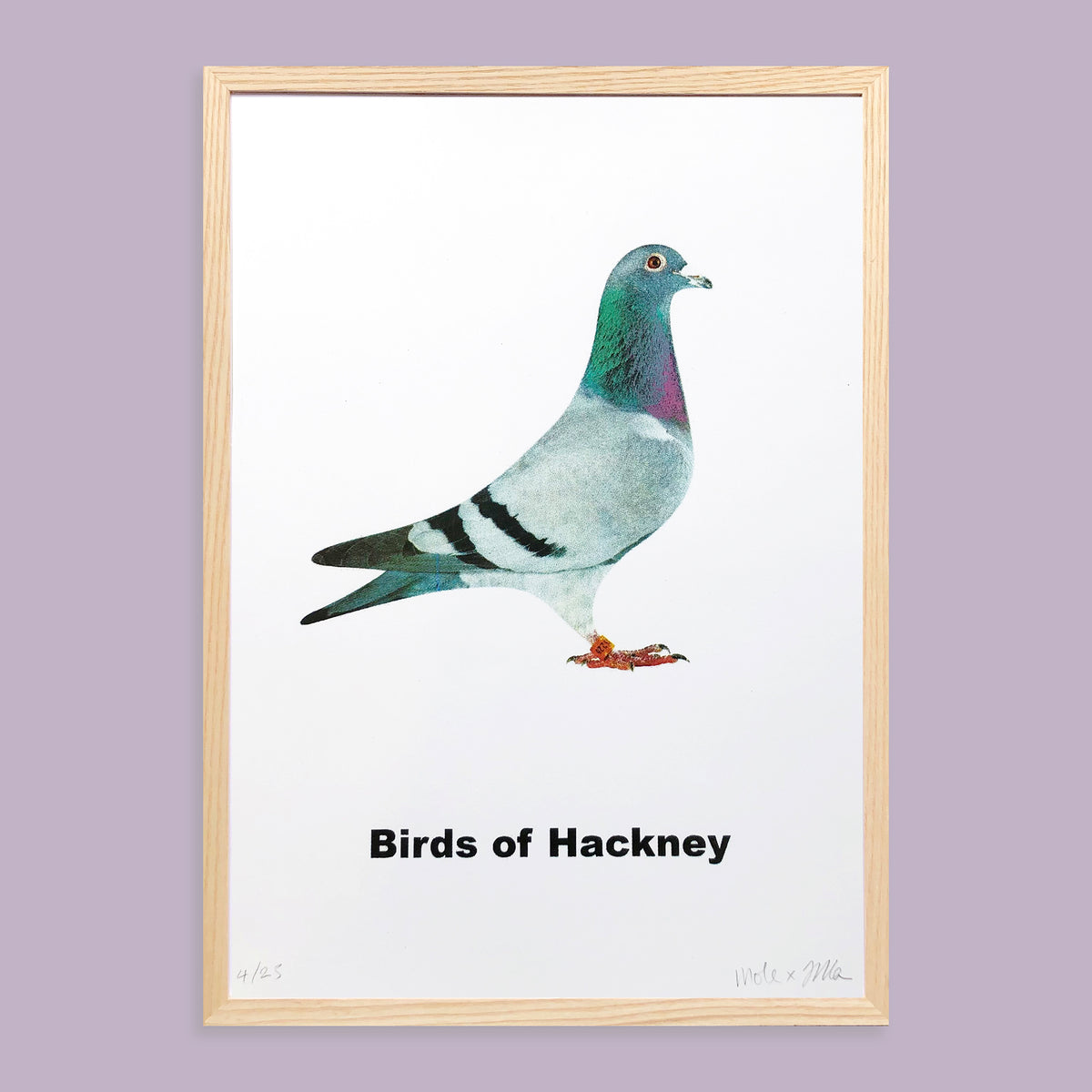 Birds of Hackney – planetpatrolstudio